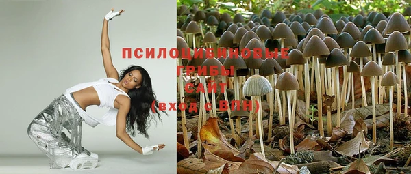mix Белокуриха