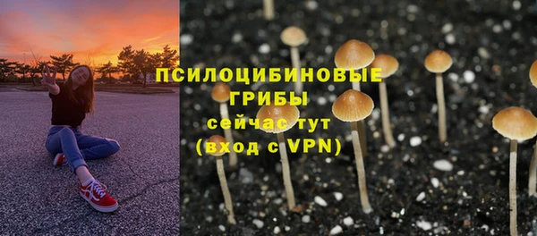 спиды Белоозёрский
