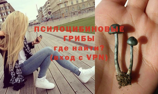 дмт Баксан