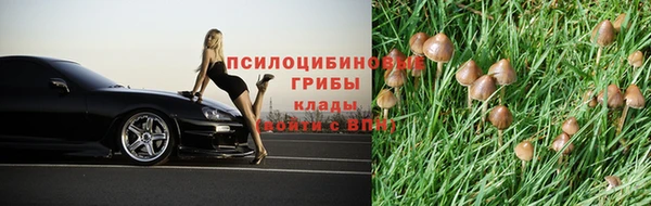 каннабис Беломорск